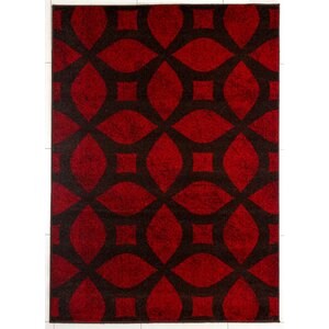 Brown/Red Area Rug