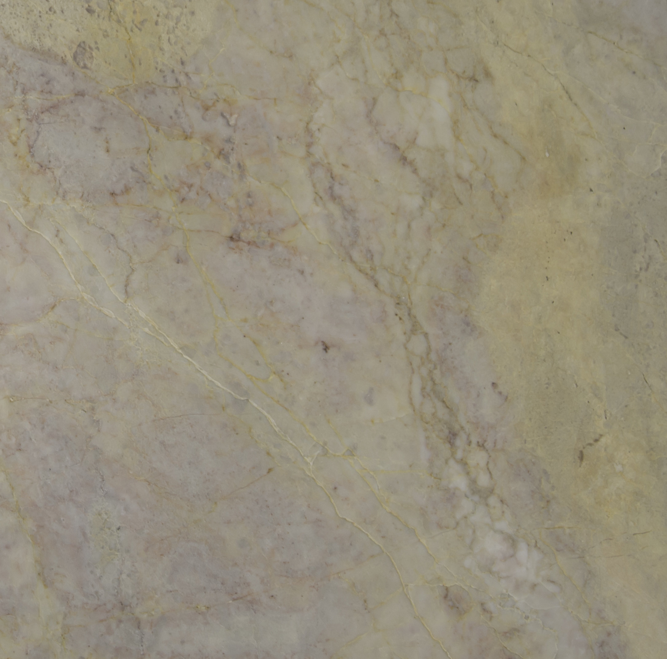 Msi 12 X Marble Field Tile In Cherry Blossom Reviews Wayfair