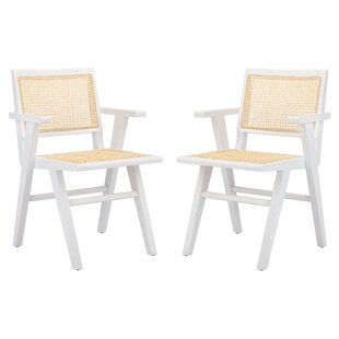 wayfair safavieh chair