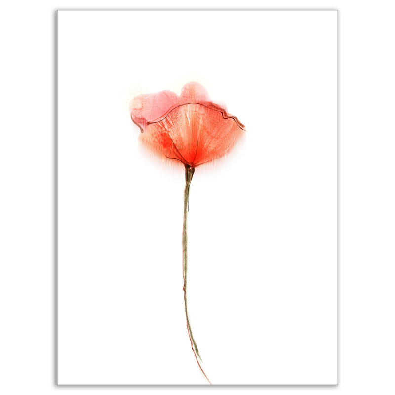 Designart Watercolor Large Red Poppy Flower Painting Print On
