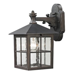 Tierra 1-Light Outdoor Wall Lantern