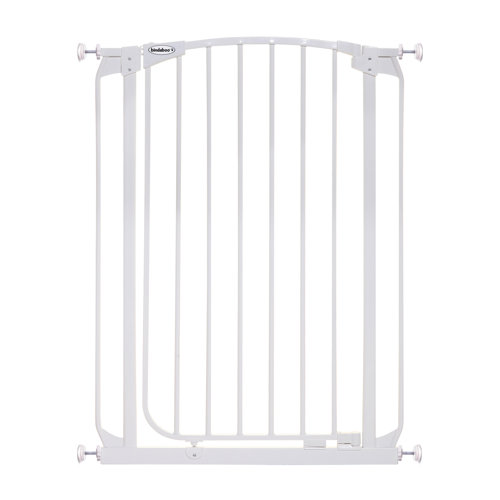 black metal pet gate