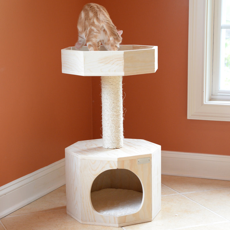 free cat tree near me