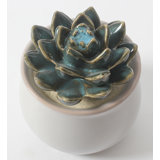 Succulent Bungalow Rose Decorative Objects You Ll Love In 2021 Wayfair