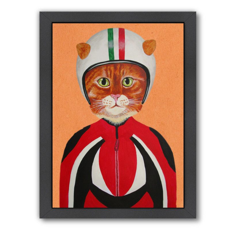 kids cat helmet