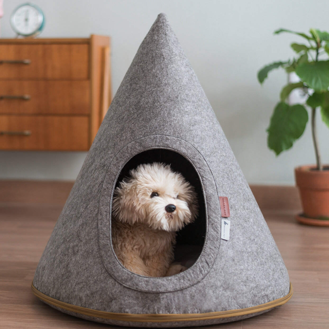 large dog bed with roof