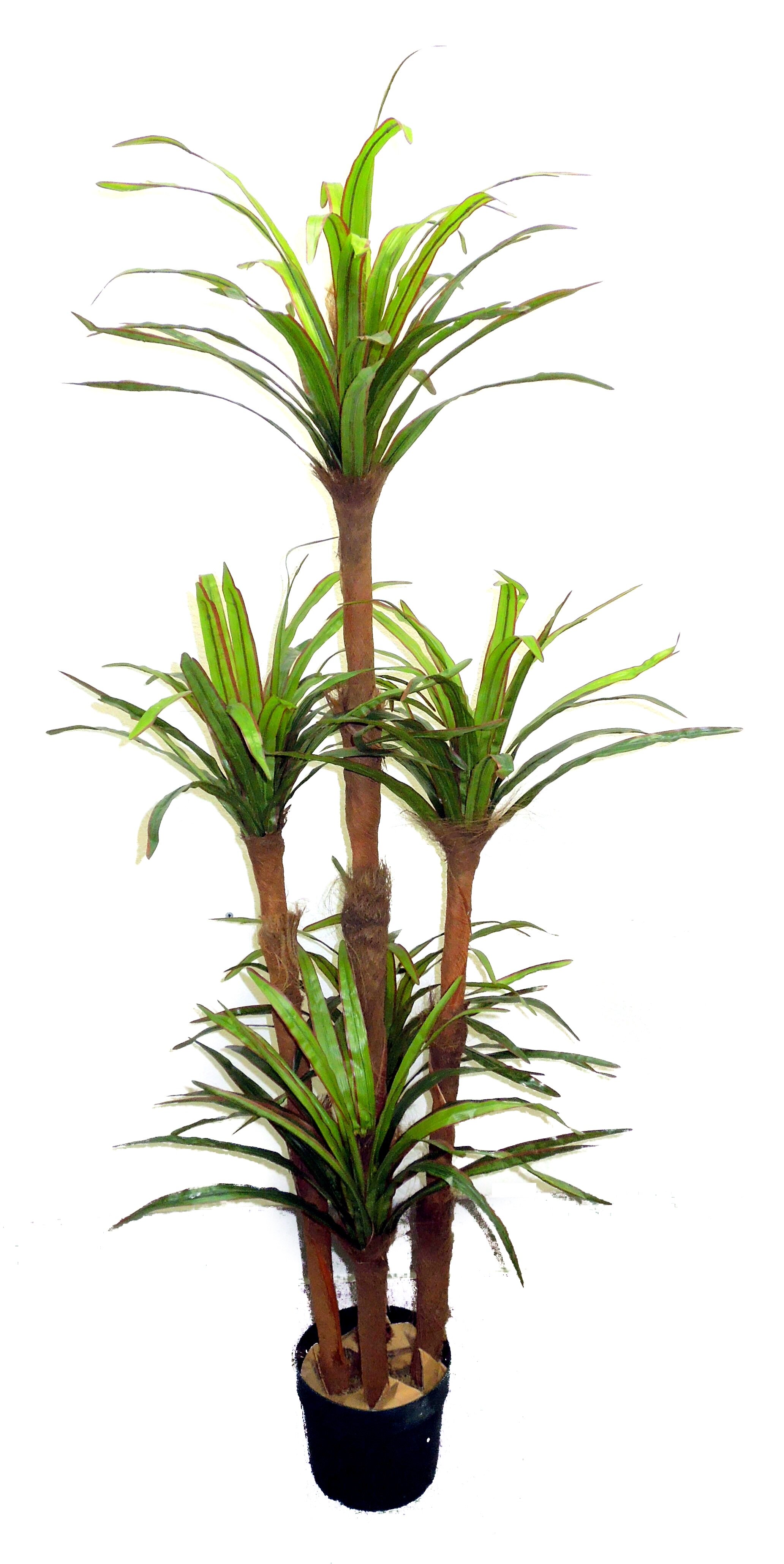 AdmiredbyNature Artificial Dracaena Tree in Pot & Reviews | Wayfair