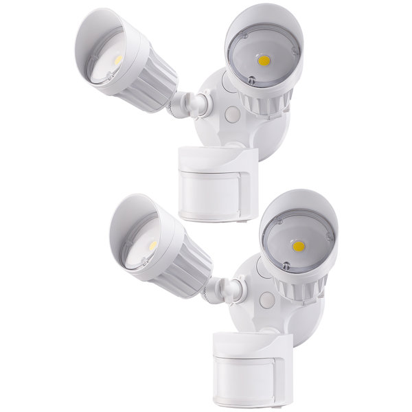 Decorative Flood Light