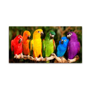 %2527Rainbow+Parrots%2527+Photographic+Print+on+Wrapped+Canvas.jpg