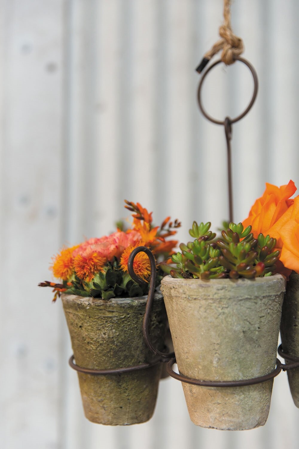 Ceramic Indoor Outdoor Hanging Planters You Ll Love In 2021 Wayfair