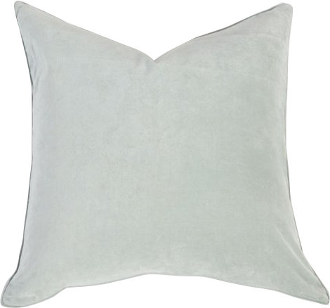 Velvet Throw Pillow