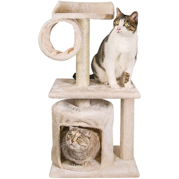 cat tree with tunnel