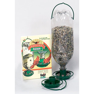 Soda Bottle Feeder Bird Feeders You Ll Love In 2020 Wayfair Ca