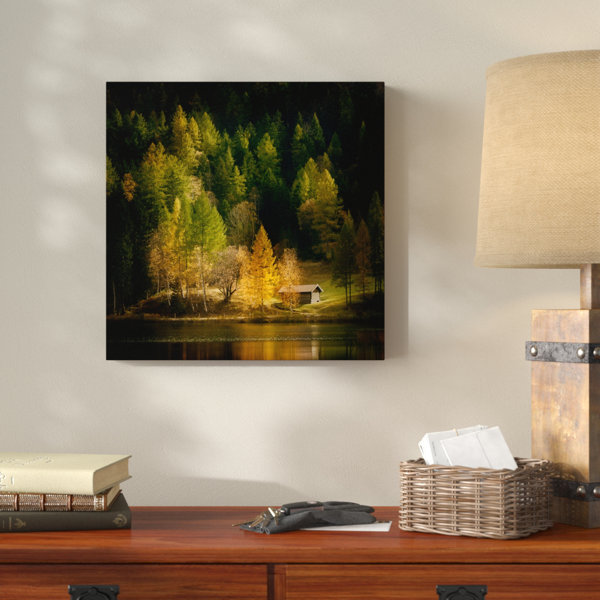 Millwood Pines Nature Art Color I Acrylic Painting Print On