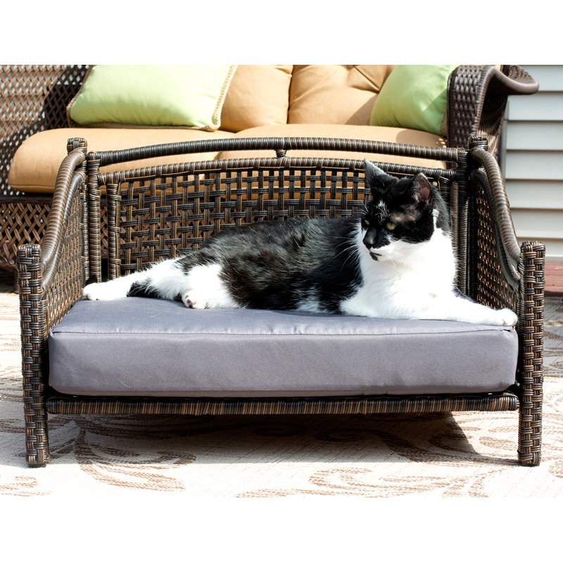 rattan dog sofa