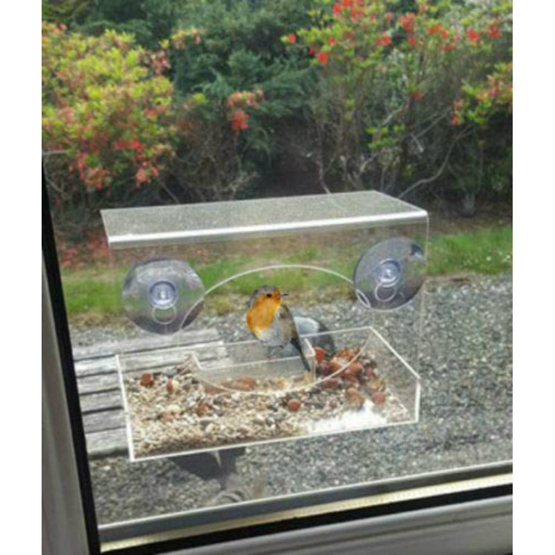 Archie Oscar Eve Window Suet Bird Feeder Wayfair Co Uk