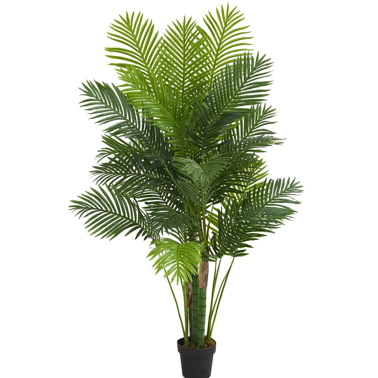 environ 0.91 m Best Artificial 3 FT 90 cm Paradise Palmier Plante tropicale Bureau Conservatoire 