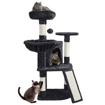 black cat tree