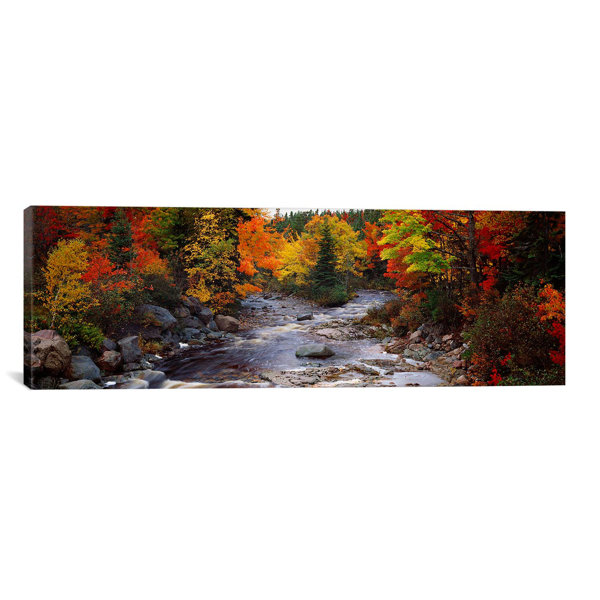 East Urban Home 'Stream with Trees in a Forest in Autumn 