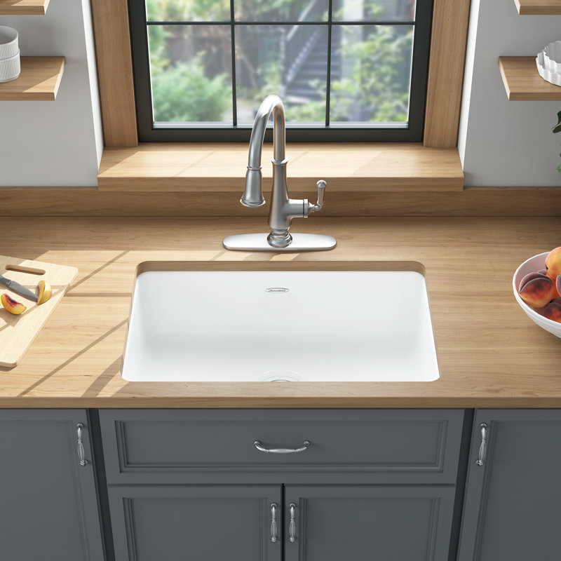 American Standard Delancey 30 L X 19 W Undermount Kitchen Sink
