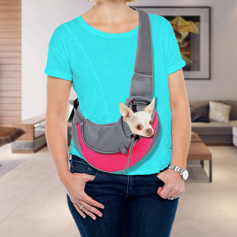 wayfair pet carrier
