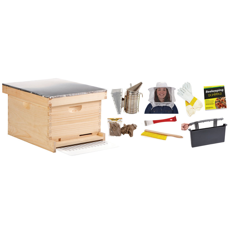 Miller Mfg Little Giant 10 Frame Beginner Beehive Kit Reviews