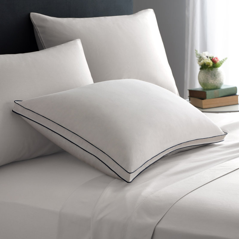 Pacific Coast Feather Double Downaround Soft Down And Feathers Bed Pillow Reviews Wayfair