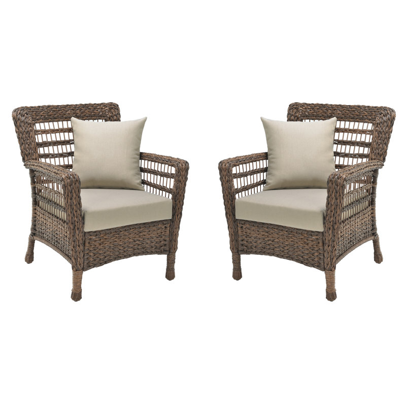 Bay Isle Home Donn Modern Faux Sea Grass Resin Rattan ...