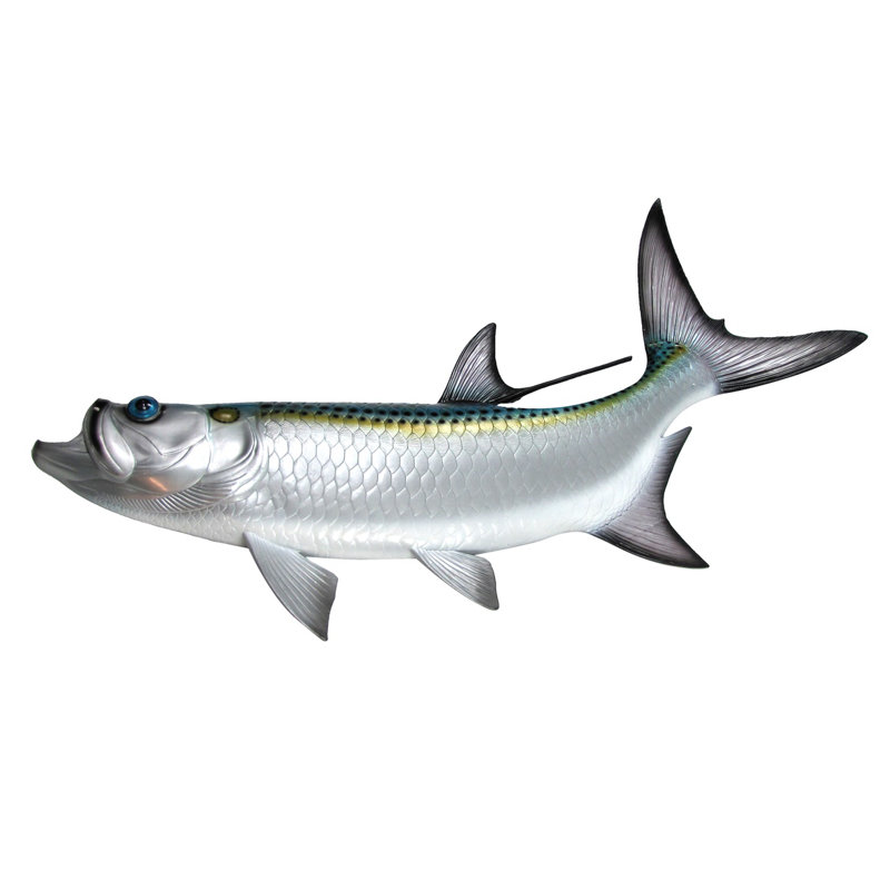 Rosecliff Heights Hand Painted Tarpon Saltwater Sport Fish Wall