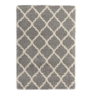 Radford Gray Shaggy Area Rug