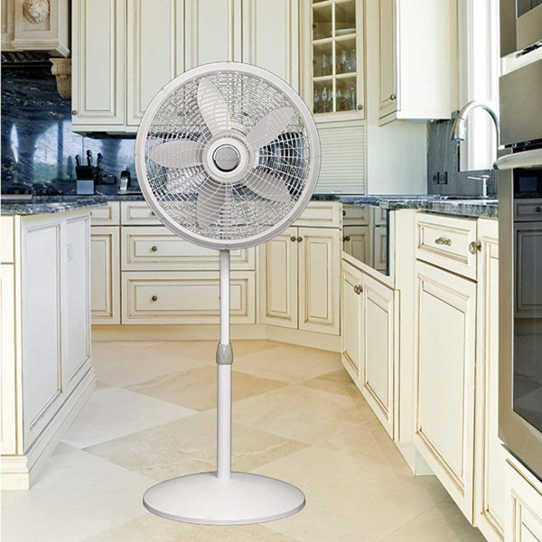 Decorative Pedestal Fans Wayfair
