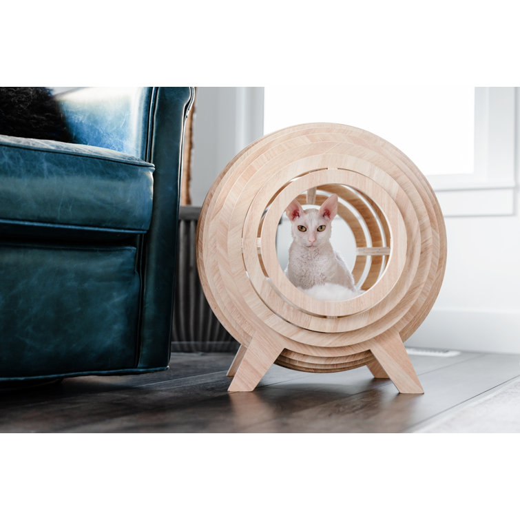 round cat beds