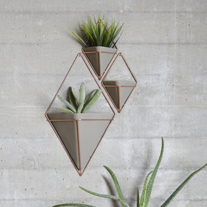 Trigg Multi-Functional Wall Vessel (Set of 2)