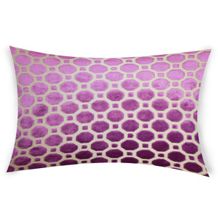 Hot Pink Velvet Pillow Wayfair Quickview