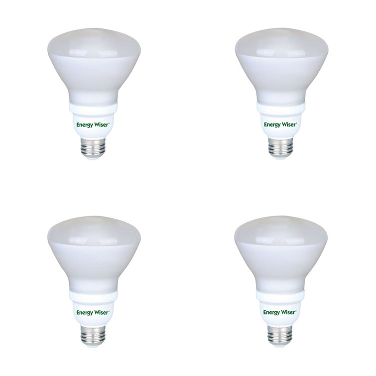 Energy Miser FE-R30-15W-27K 80 CRI Compact Fluorescent 50 Lumens per Watt 15 Watt CFL Light Bulb R30-65 W Equal 2700K Warm White 15 Month Warranty 