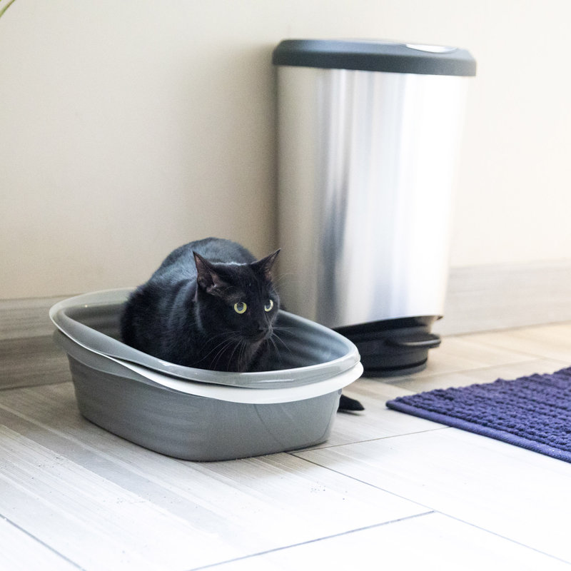 arm and hammer sifting cat litter box