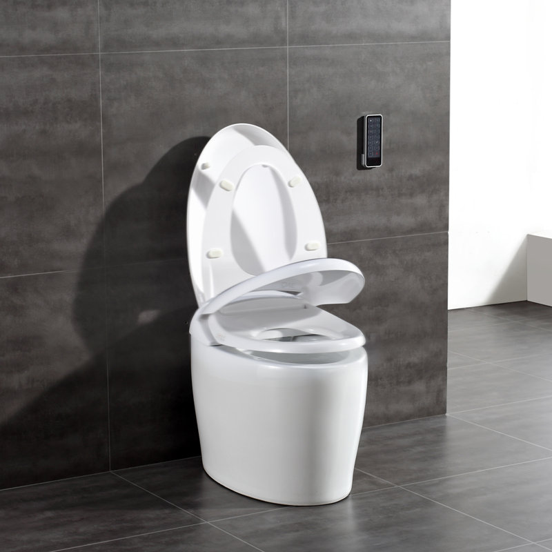 Ove Decors Tuva Smart Toilet 20 Floor Mount Bidet Reviews Wayfair