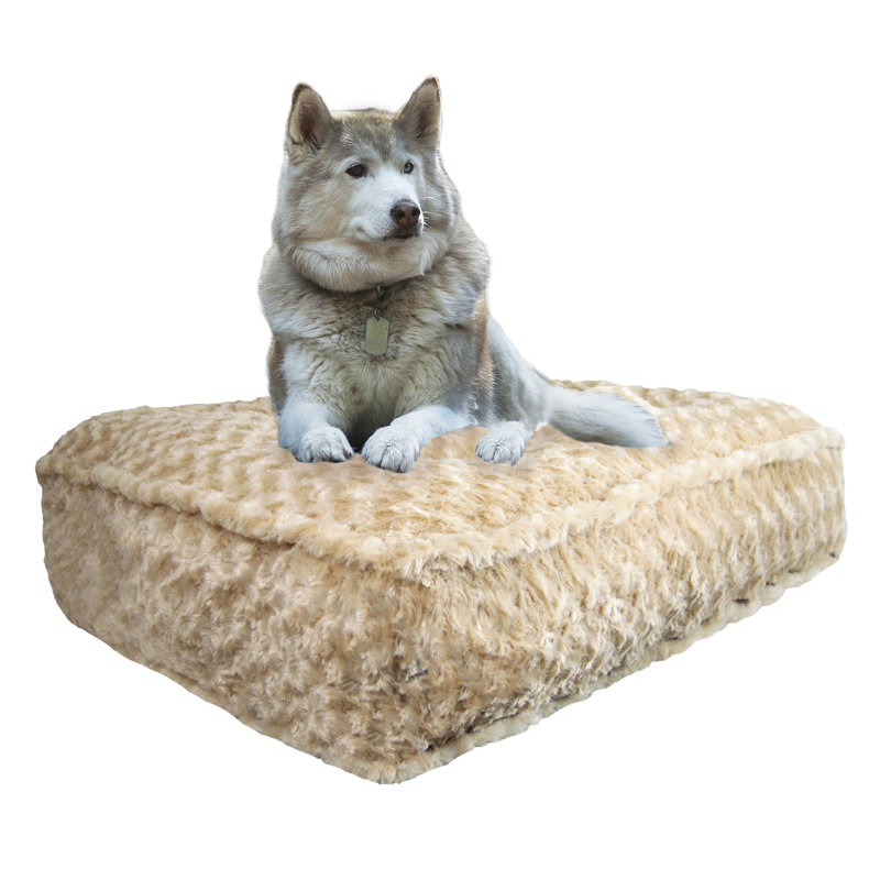 rectangle dog bed