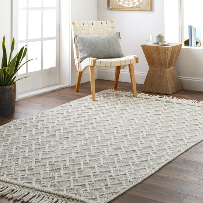 Barbaresi Handwoven Area Rug in Gray