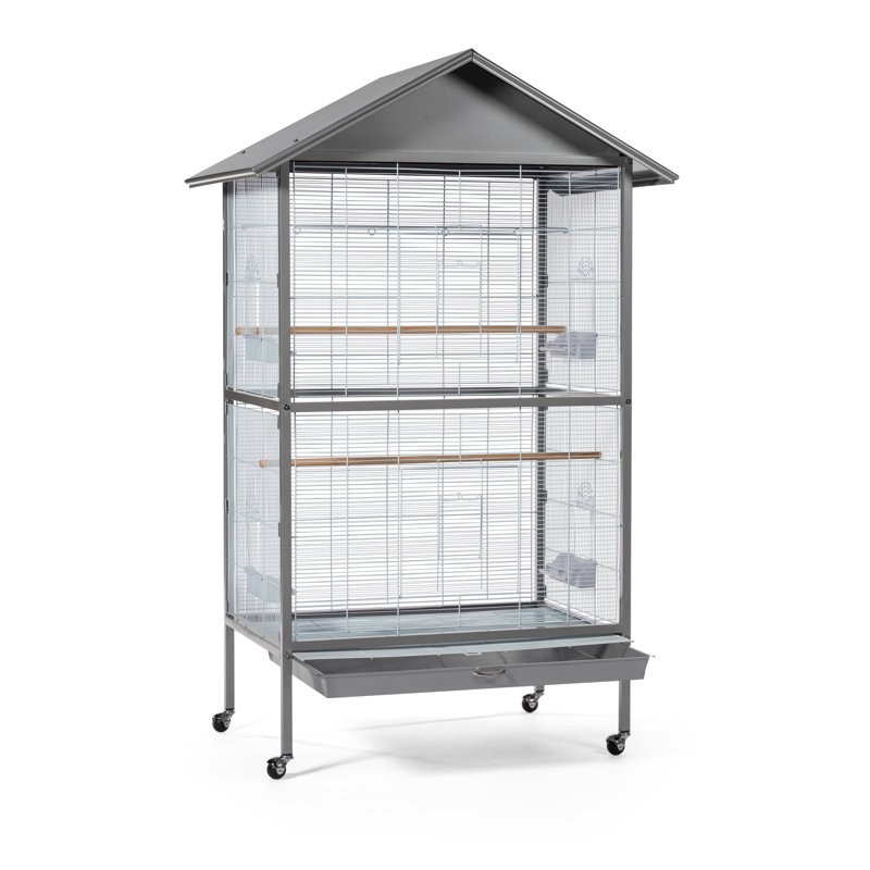 Tucker Murphy Pet Chao Charming Aviary Large Flight Cage With