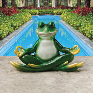 View Meditating Frog