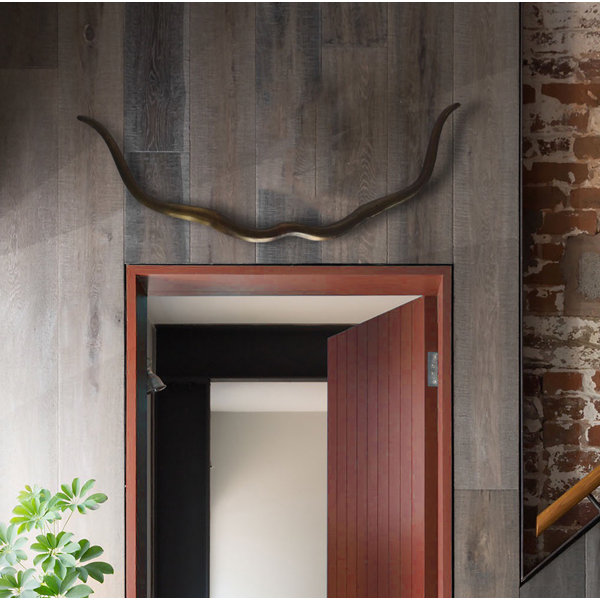 Bull Horn Wall Decor Wayfair