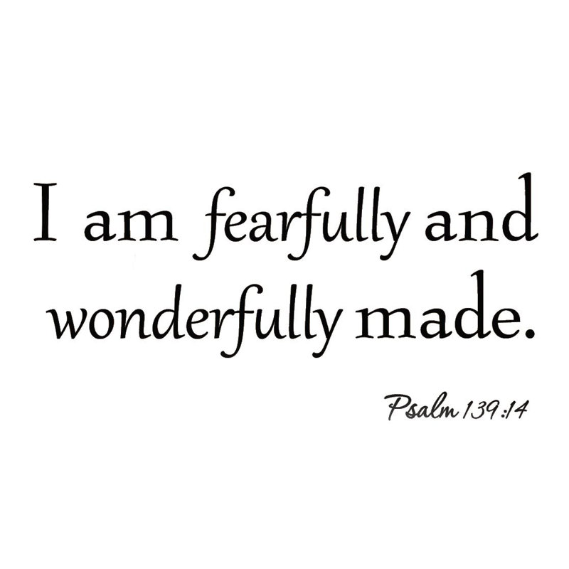 Winston Porter Dansville I Am Fearfully And Wonderfully Made Wall Decal Wayfair