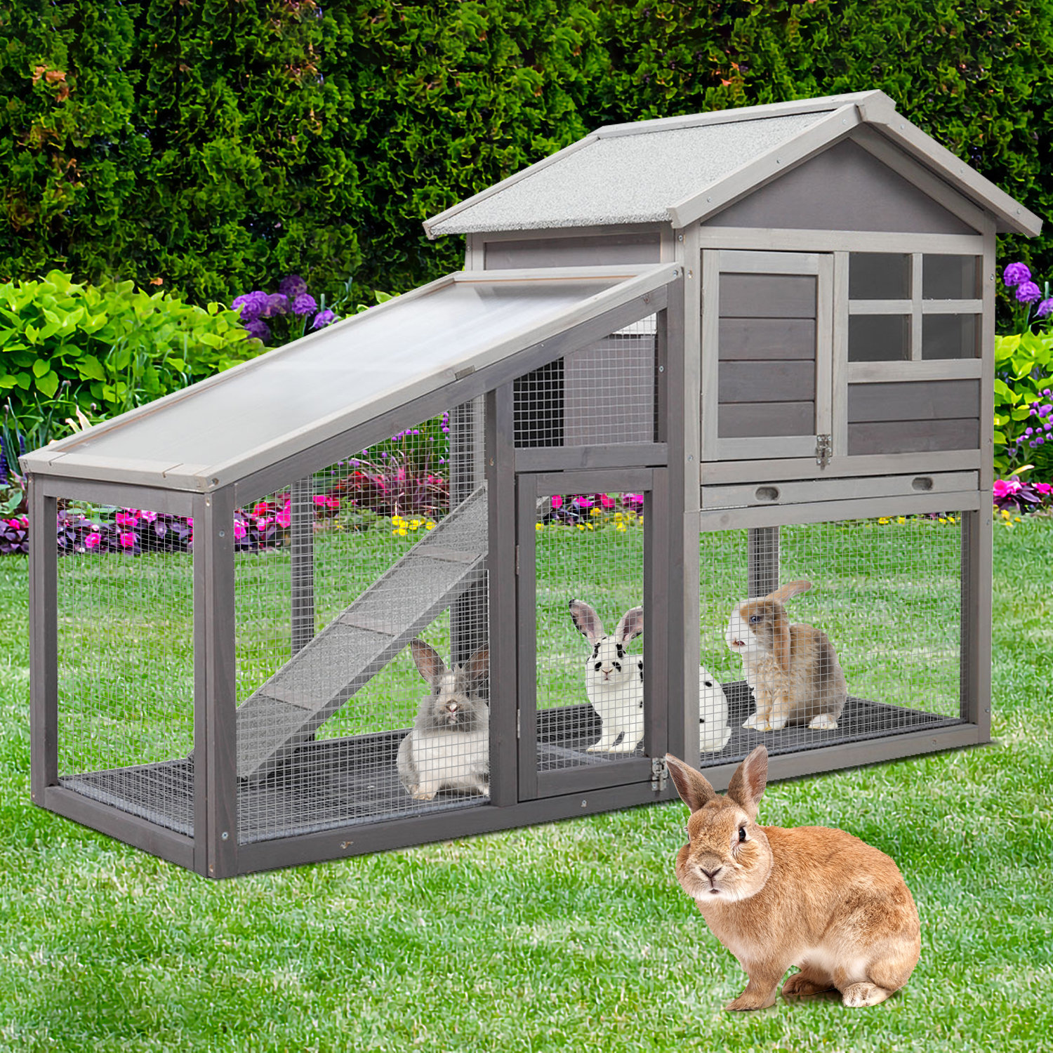 Tucker Murphy Pet™ Burliegh Weather Resistant Rabbit Hutch with Ramp