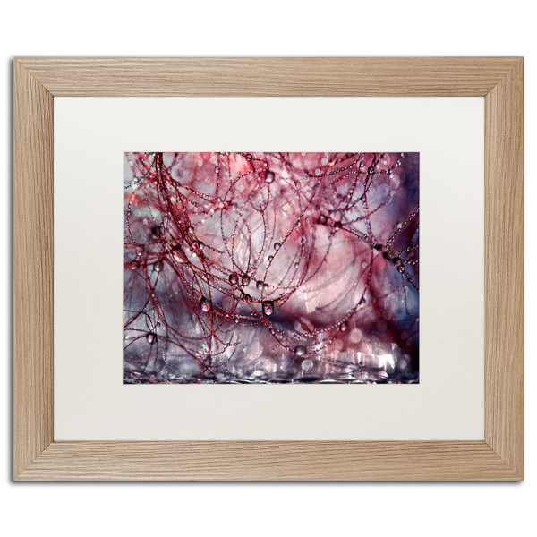 Trademark Art Beautiful Chaos By Beata Czyzowska Young Matted Framed Print On Canvas Wayfair