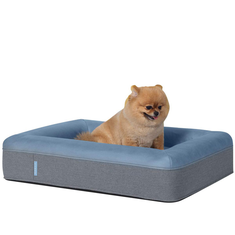 high density foam dog bed