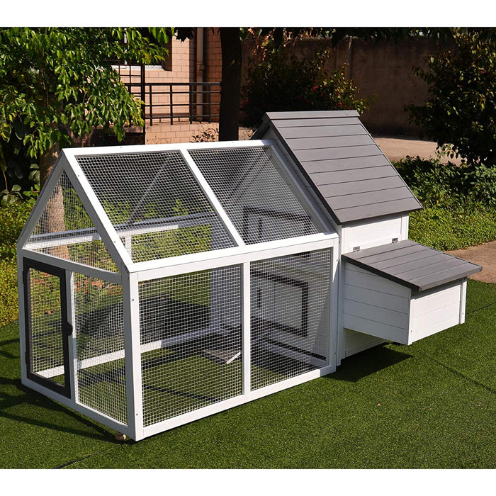 Camas Wood Chicken Coophouse With Nesting Box Ramp Run And Ladder
