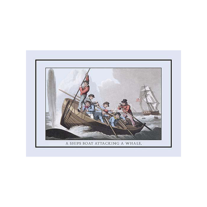 Buyenlarge A Ship S Boat Attacking A Whale By J H Clark Framed