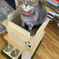 Petdwell 27 Cat Condo Reviews Wayfair