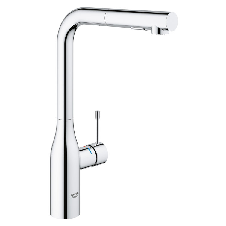 Essence Pull Out Single Handle Kitchen Faucet with Accessories